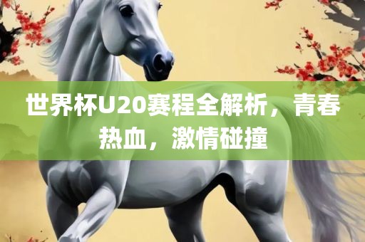世界杯U20赛程全解析，青春热血，激情碰撞