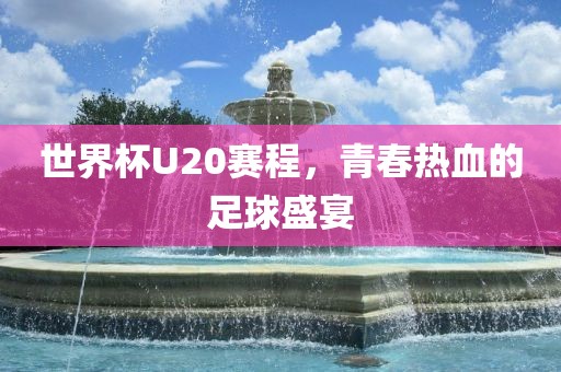 世界杯U20赛程，青春热血的足球盛宴