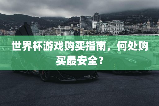 世界杯游戏购买指南，何处购买最安全？丹东日丰电子有限公司