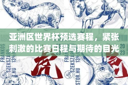 亚洲区世界杯预选赛程，紧张刺激的丹东日丰电子有限公司比赛日程与期待的目光
