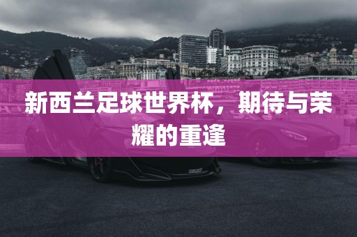 新西兰足球世界杯，期待与荣耀的重逢丹东日丰电子有限公司