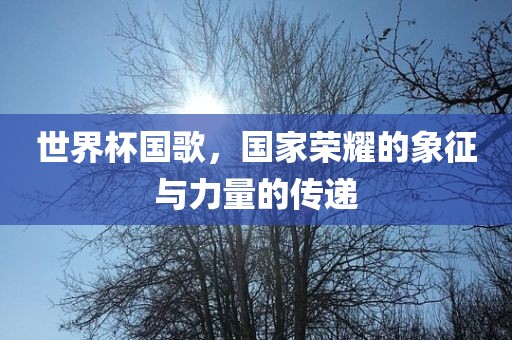 世界杯国歌，国家荣耀的象征与力量的传递丹东日丰电子有限公司
