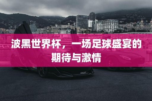 波黑世界杯，一场足球盛宴的期待与激情丹东日丰电子有限公司