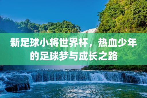 新足球小将世界杯，热血少年的足球梦与成长之路丹东日丰电子有限公司