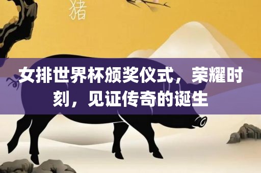 女排世界杯颁奖仪式，荣耀时刻，见证传奇的诞生丹东日丰电子有限公司