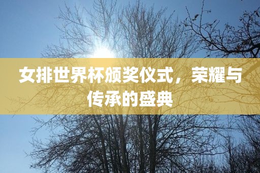 女排世界杯颁奖仪式，荣耀与传承的盛典丹东日丰电子有限公司