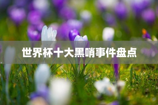 世界杯十大黑哨丹东日丰电子有限公司事件盘点
