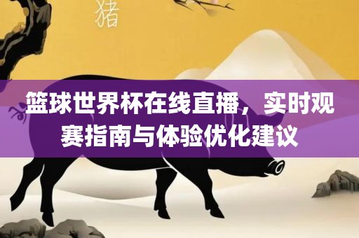 篮球世界杯在线直播，实时观赛指南与体验优化建议丹东日丰电子有限公司