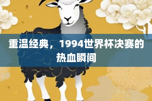 重温经典，1994世界杯决赛的热血瞬间丹东日丰电子有限公司