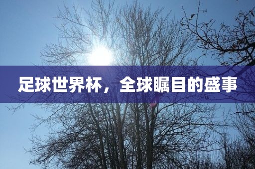 足球世界杯，全球瞩目的盛事丹东日丰电子有限公司