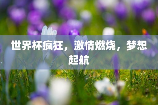 世界杯疯狂，激情燃烧，梦想起航丹东日丰电子有限公司
