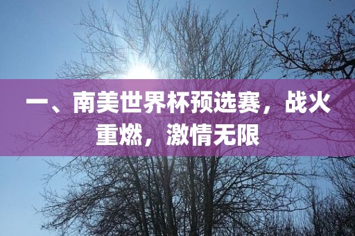 一、南美世界杯预选赛，战火重燃，激情无限