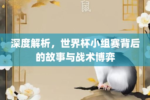 深度解析，世界杯小组赛背后的故事与战术博弈