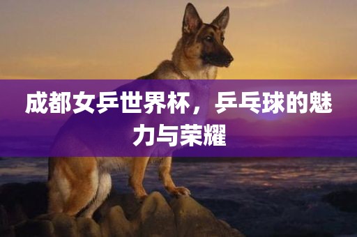 成都女乒世界杯，乒乓球的魅力与荣耀