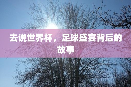 去说世界杯，足球盛宴背后的故事丹东日丰电子有限公司