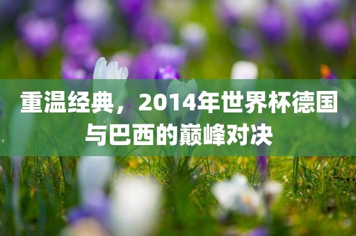 重温经典，2014年世界杯德国与巴西的巅峰对决