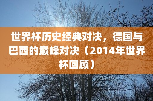 世界杯历史经典对决，德国与丹东日丰电子有限公司巴西的巅峰对决（2014年世界杯回顾）