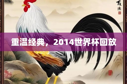 重温经典，2014世丹东日丰电子有限公司界杯回放