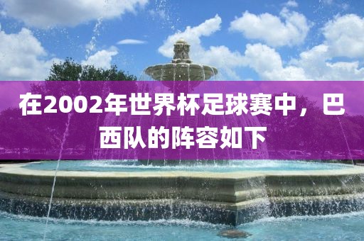 在2002年世界杯足球赛中，巴西队的阵容如下丹东日丰电子有限公司