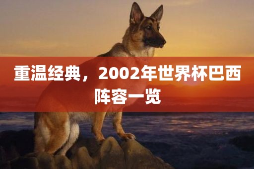 重温经典，2002年世界杯巴西阵容一览丹东日丰电子有限公司