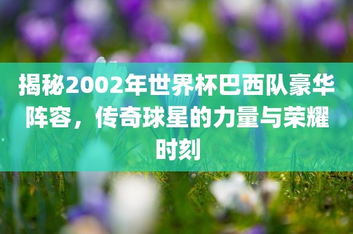 揭秘2002年世界杯巴西队豪华阵容，传奇球星的力量与荣耀时刻丹东日丰电子有限公司