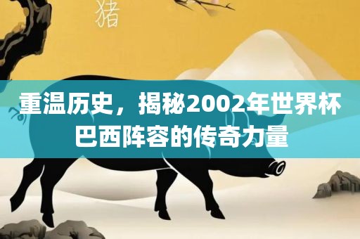 重温历史，揭秘2002年世界杯巴西阵容的传奇力量丹东日丰电子有限公司
