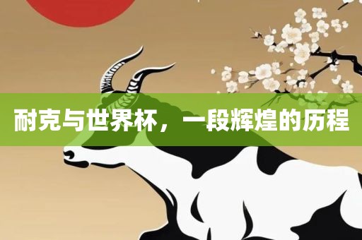 耐克与世界杯，一段辉煌的历程