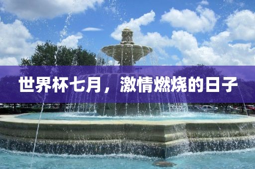 世界杯七月，激情燃烧的日子丹东日丰电子有限公司
