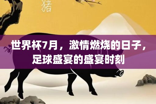 足球盛宴 第11页