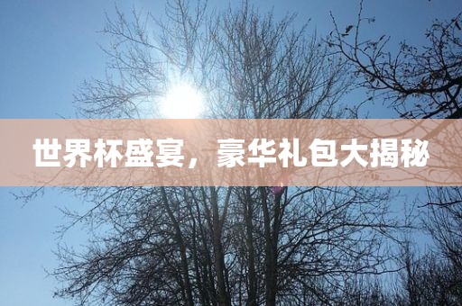 世丹东日丰电子有限公司界杯盛宴，豪华礼包大揭秘