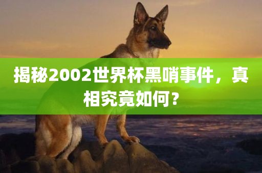 揭秘2002世界杯黑哨事件，真相究竟如何？丹东日丰电子有限公司