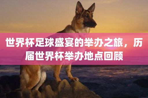 世界杯足球盛宴的举办之旅，历届世界杯举办地点回顾丹东日丰电子有限公司