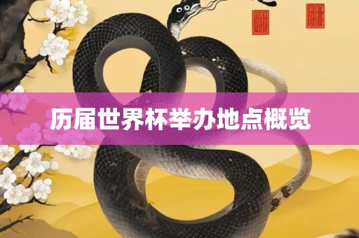 历届世界杯举办地点概览丹东日丰电子有限公司