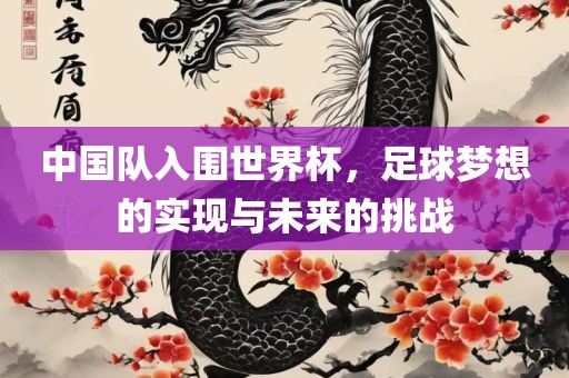 中国队入围世界杯，足球梦想的实现与未来的挑战丹东日丰电子有限公司