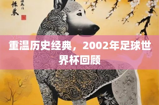 重温历史经典，2002年足球世界杯回顾