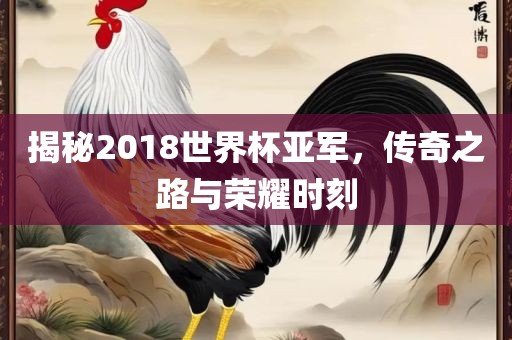 揭秘2018世界杯亚军，传奇之路与荣耀时刻