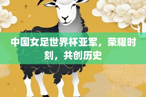 中国女足世界杯亚军，荣耀时刻，共创历史