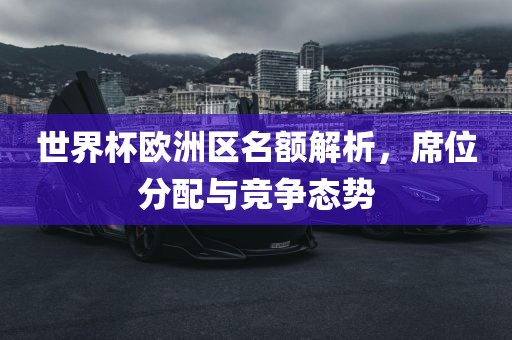 世界杯欧洲区名额解析，席位分配与竞争态势丹东日丰电子有限公司