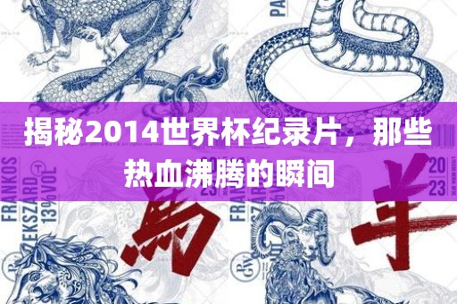 揭秘2014世界杯纪录片，那些热血沸腾的瞬间