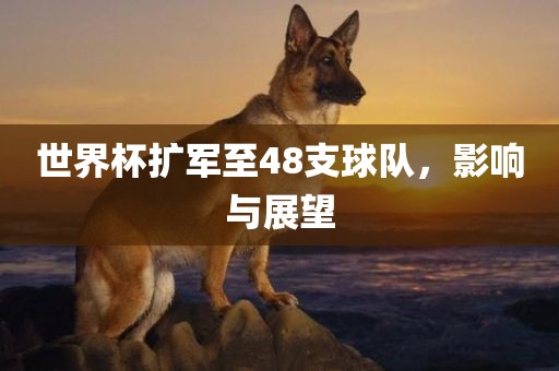 世界杯扩军至48支球队，影响与展望