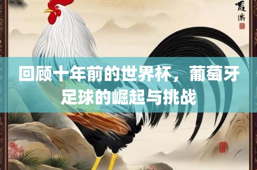 回顾十年前的世界杯，葡萄牙足球的崛起与挑战丹东日丰电子有限公司