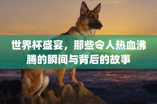 世界杯盛宴，那些令人热血沸腾的瞬间与背后的故事丹东日丰电子有限公司
