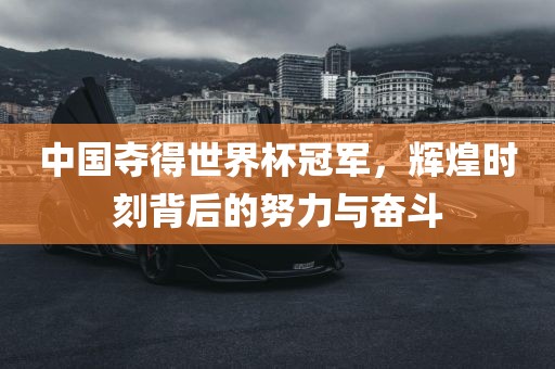 中国夺得世界杯冠军，辉煌时刻背后的努力与奋斗丹东日丰电子有限公司
