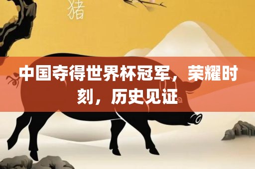 中国夺得世界杯冠军，荣耀时刻，历史见证丹东日丰电子有限公司