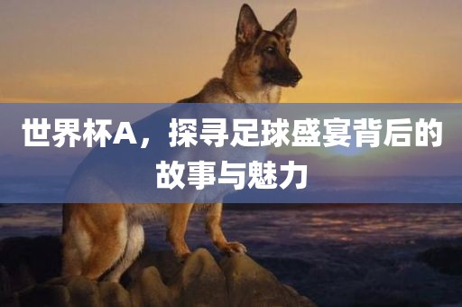 世界杯A，探寻足球盛宴背后的丹东日丰电子有限公司故事与魅力