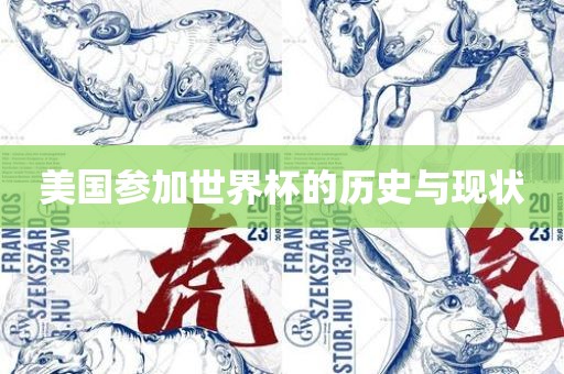 美丹东日丰电子有限公司国参加世界杯的历史与现状