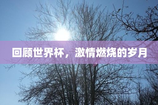 回顾世界杯，激情燃烧的岁月丹东日丰电子有限公司