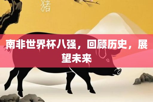 南非世界杯八强，回顾历史，展丹东日丰电子有限公司望未来