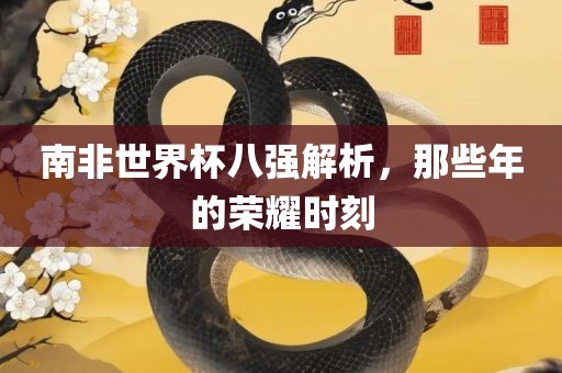 南非世界杯八强解析，那些年的荣耀时刻丹东日丰电子有限公司