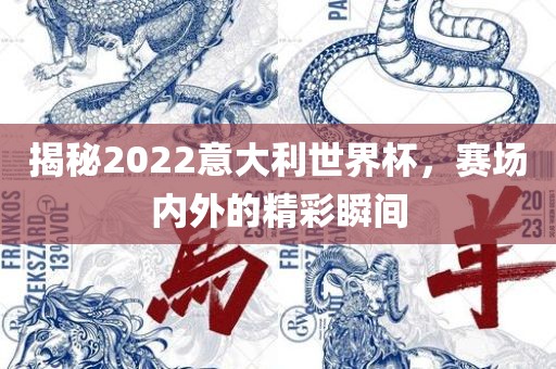 揭秘2022意大利世界杯，赛场内外的精彩瞬间